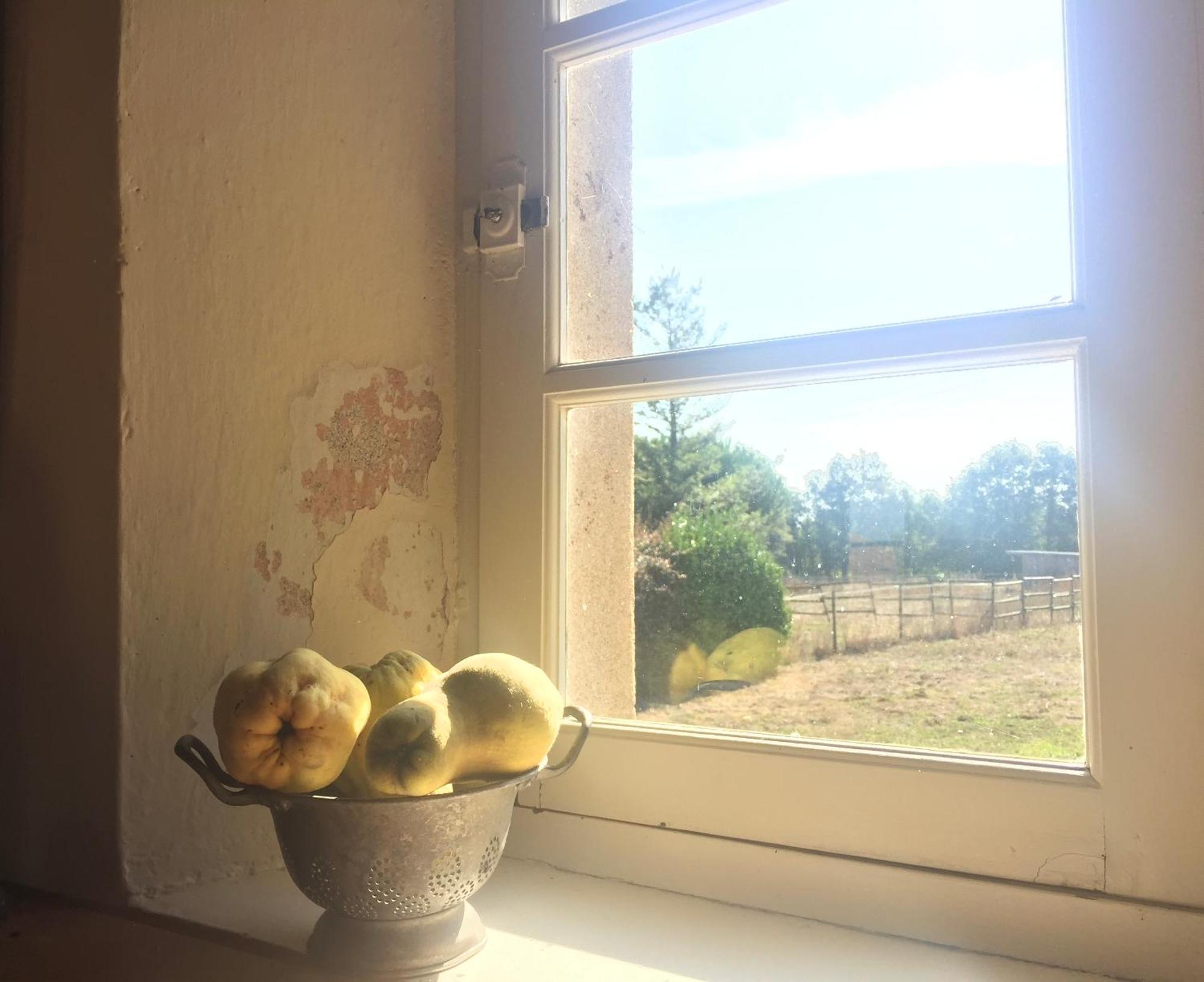 La Brionniere Villa Aizenay Kültér fotó